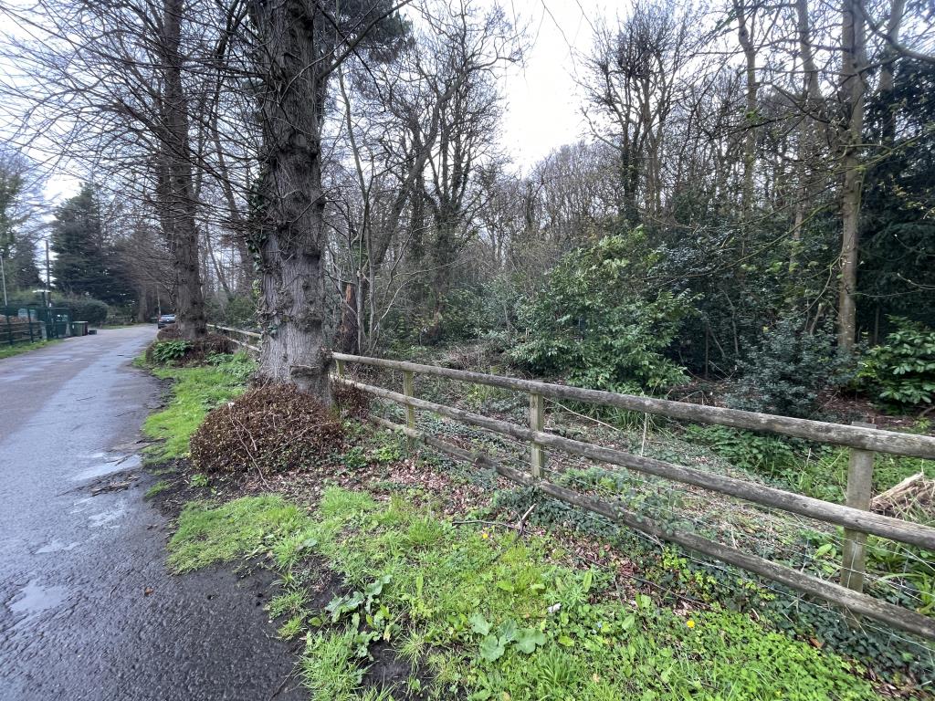 Lot: 78 - WOODLAND EXTENDING TO 3.56 ACRES - Outside view of land facing north, with western fence boundary